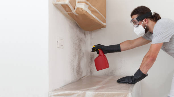 Professional Commercial Mold Remediation technician working in Newberg, OR