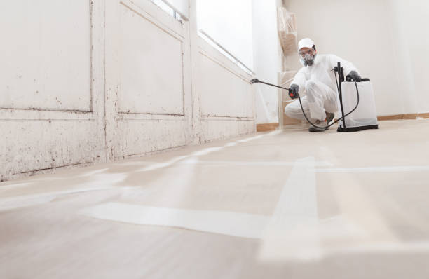 24/7 Emergency Commercial Mold Remediation experts in Newberg, OR