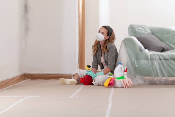 Reliable Commercial Mold Remediation contractor in Newberg, OR by 24 Hour Mold Removal